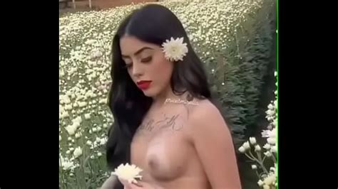 Gifs De Safados Xvideos Xxx Filmes Porno