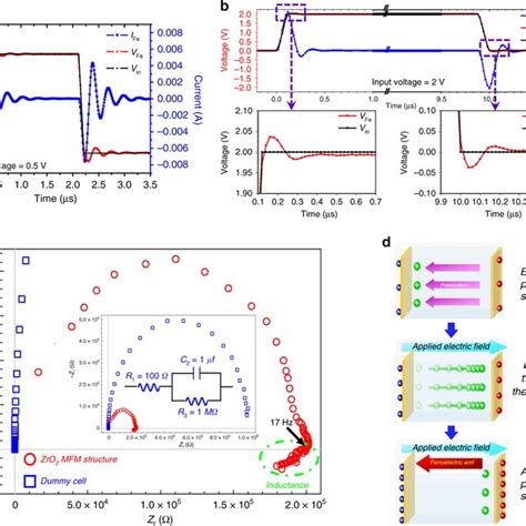 Experimental Observations And Schematic Illustration Of Ferroelectric