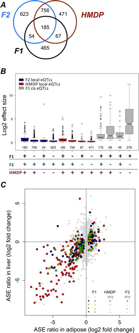 Cis Versus Local Eqtls Comparison Of Local And Cis Eqtl Suggest A Download Scientific Diagram