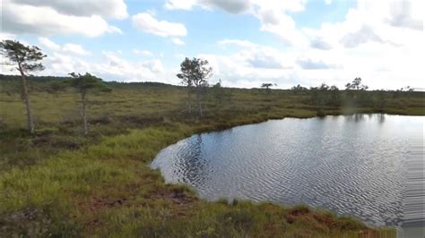 Mukri Raba Bog Eesti Sood Ja Rabad 1 Estonian Bogs And Wetlands 1