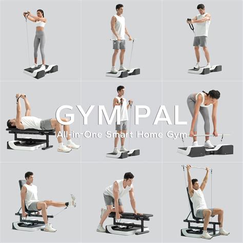 Speediance Gym Pal Pro Max-All-in-One Smart Home Gym...