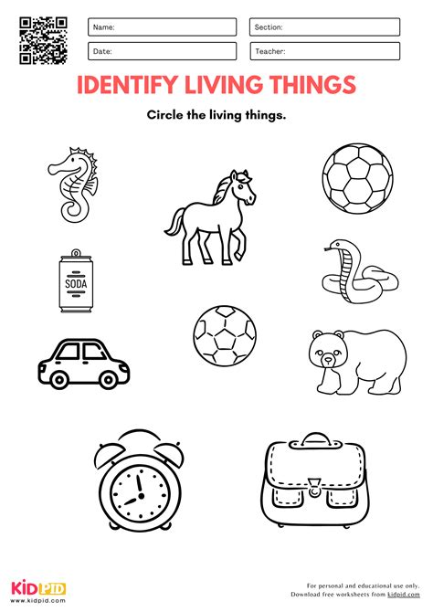 Living Things Worksheets For Kindergarten Kidpid