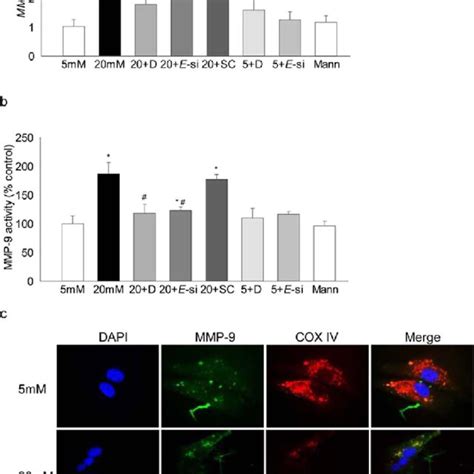 Effect Of Regulation Of Ezh On Mmp A Mrna Levels Of Mmp Were