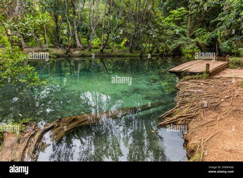 Pond In The National Park El Choco Near Cabarete Dominican Republic