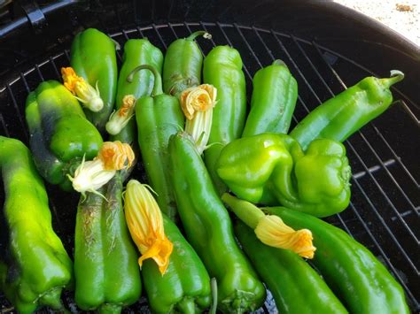 Peppers For Roasting And Freezing Fort Vannoy Farms