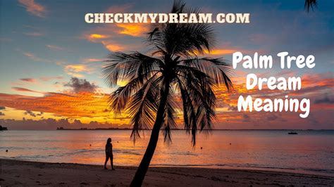 Spiritual Meaning Of Palm Tree In A Dream YouTube