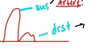 Hemodynamics Flashcards Quizlet