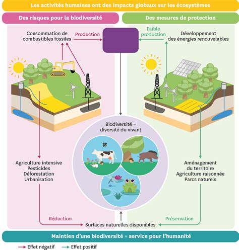 Les Impacts Des Activit S Humaines Sur L Environnement Lelivrescolaire Fr