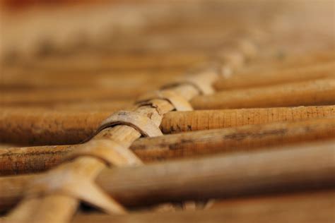 Free Images Hand Nature Branch Bokeh Blur Wood Texture Brown