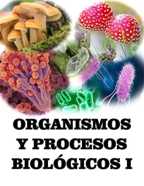 Calam O Cartilla Organismos Y Procesos Biol Gicos