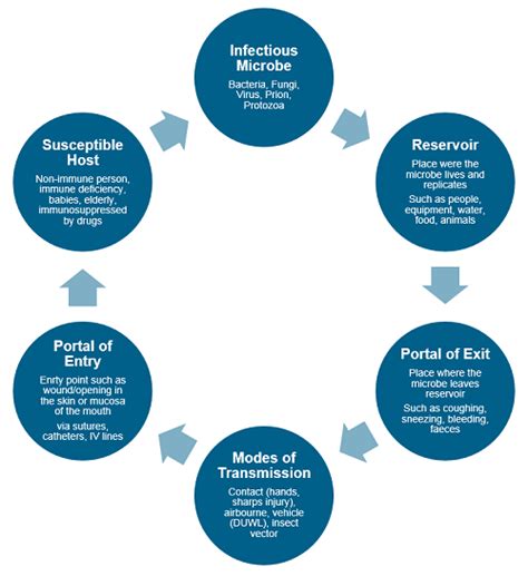 Diagram Of The Chain Of Infection