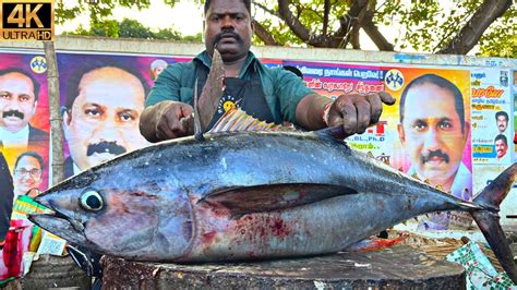 KASIMEDU SPEED SELVAM 20 KG BIG TUNA FISH CUTTING IN KASIMEDU