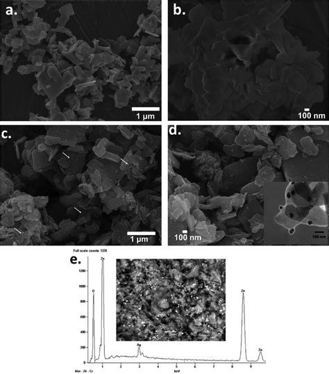 SEM images at a low scale bar 1 μm and b high resolution scale