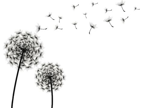 Download Wind Blowing Png Clipart Png Download Pikpng