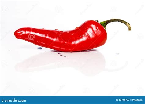 The Red Hot Chili Pepper Stock Image Image Of Chilli