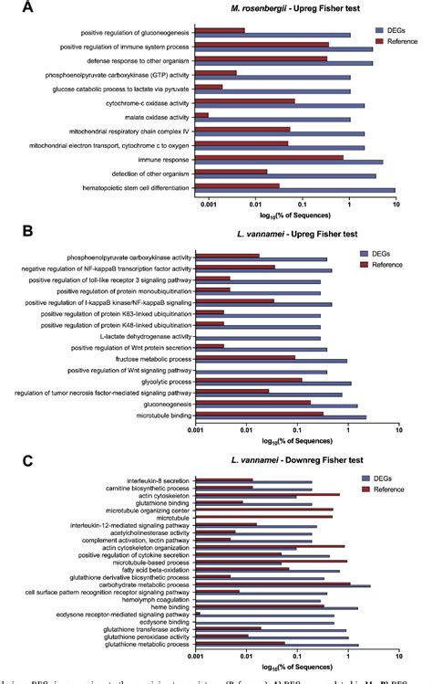 Figure 3 From A Comparative Synthesis Of Transcriptomic Analyses