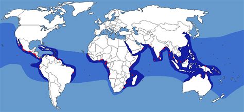 Index Of Turtles Maps