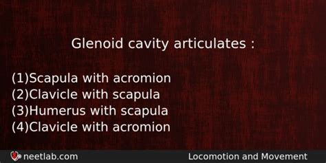 Glenoid cavity articulates : - NEETLab