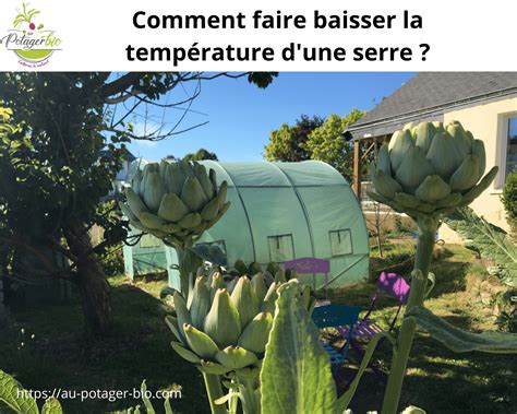 Comment Faire Baisser La Temp Rature D Une Serre Au Potager Bio