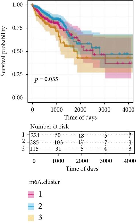 Identification And Functional Enrichment Analysis Of M6a Clusters In