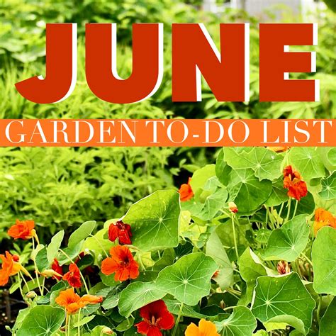 June Gardening Calendar Permaculturefx