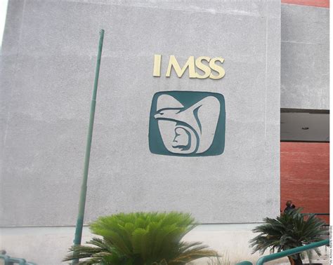 IMSS otorga contratos por más de mil mdp a empresa fantasma Lado mx