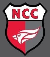 North Central College Men's Soccer - Custom Profile | Powered by: CaptainU