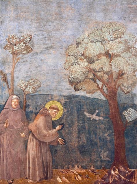 Giotto Predica Agli Uccelli Bottega Tifernate