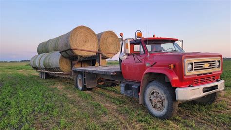 Dang Nice Alfalfa Bales YouTube