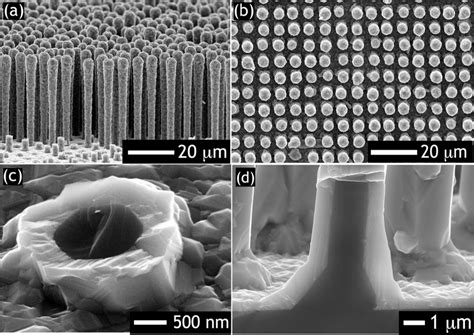 Sem Images Of Gap Coated Si Wire Arrays A Side View B Topdown And C