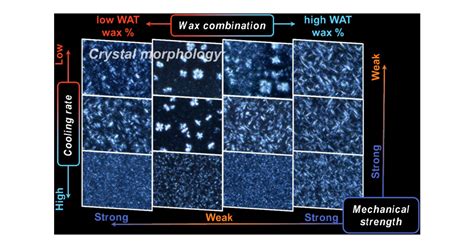 Effects Of Wax Components And The Cooling Rate On Crystal Morphology