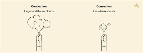 Convection Vs Conduction Vaporizers A Complete Guide Rqs Blog