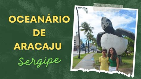 Ocean Rio De Aracaju Conhe A O Projeto Tamar Em Sergipe Youtube