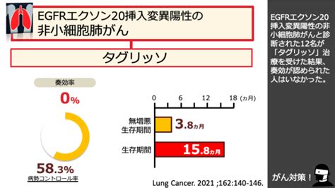 肺がんの個別化医療のまとめ がんゲノム医療・免疫治療 銀座みやこクリニック院長ブログ