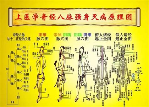 打通奇经八脉方法身体从此通畅无阻艾灸穴位艾灸top网