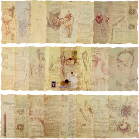 Amazon Draupnir Sheets Of Vintage Scrapbook Paper For Art