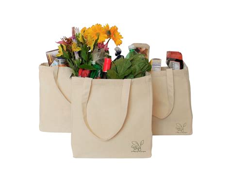 Eco Friendly Reusable Canvas Tote Bags Homepro Goods