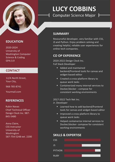 Science Cv Template Computer Science Cs Resume Template Examples For