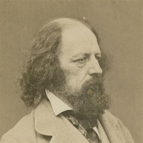 Rhyme and reason | Royal Society