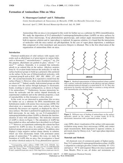 PDF Formation Of Aminosilane Film On Mica DOKUMEN TIPS