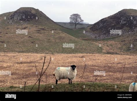 Quiet Hadrains Wall Hi Res Stock Photography And Images Alamy