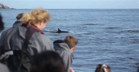 Das Erlebnis Bootsfahrt an der Nordküste GetYourGuide