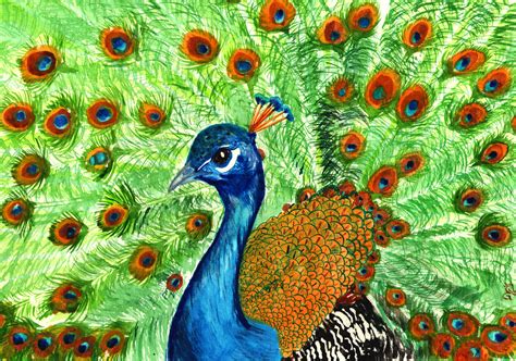 Peacock By Birdgvee On Deviantart