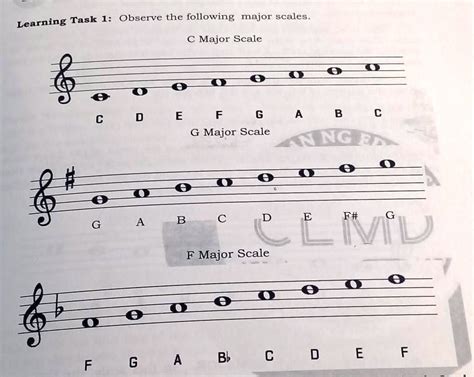 Solved Learning Task 1 Observe The Following Major Scales Task 1