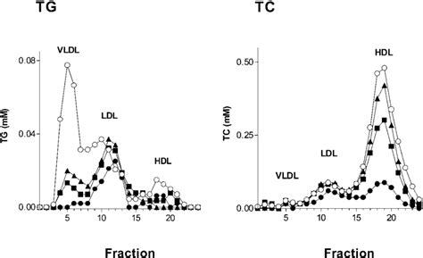 Effect Of Apoav On Distribution Of Lipids Among Lipoproteins C57bl 6 Download Scientific