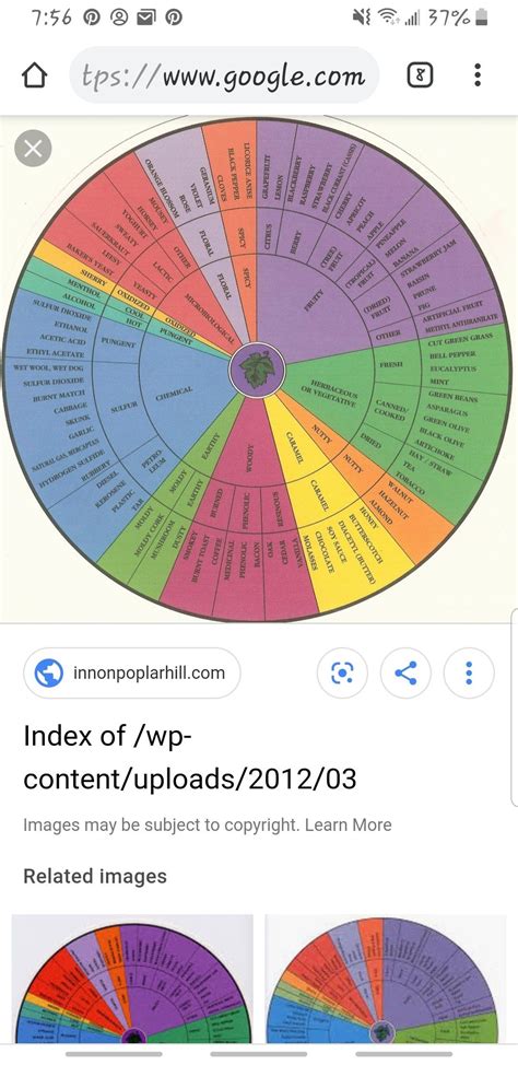 Pin By Eternal On How Does It Taste Learning Pie Chart Chart