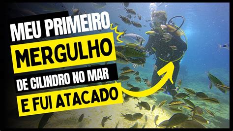 Fui Mergulhar De Cilindro Pela Primeira Vez E Fui Atacado Por Um Peixe