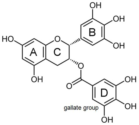 Ijms Free Full Text Epigallocatechin 3 Gallate Egcg For Clinical