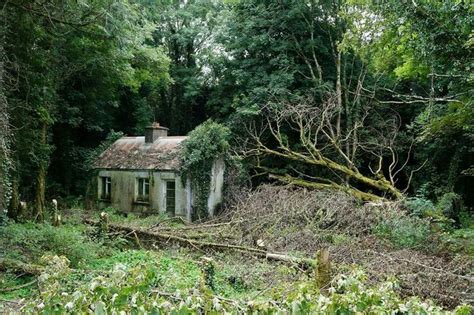 Abandoned Irish Cottage Ireland History Ireland Cottage Irish Houses