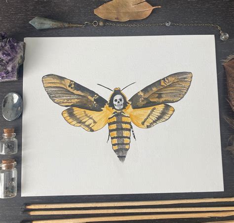 Deathhead Moth Original Painting - Etsy